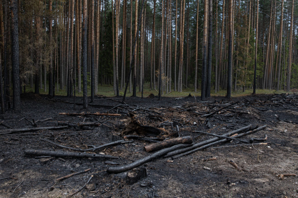 Фото: Юлия Невская для НВ